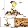 Realistic Heart-Shaped Cobra and Rattlesnake Toy Ornament for Kids