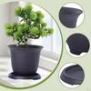 Bonsai Pot Flower Planter Training Bowl with Drainage System And Moisture Storage Made of PP for
