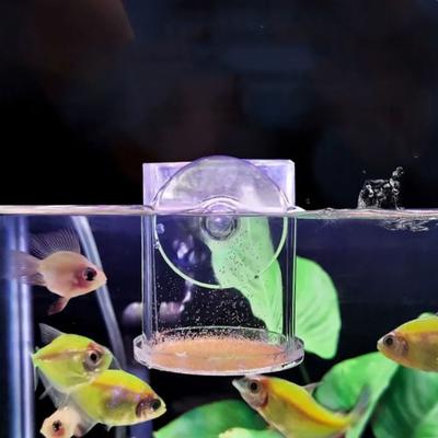 Rectangle/Round Aquarium Suction Cup Feeder Transparent Acrylic Acrylic Aquarium Fish Feeder with Suction Cup Fixed-Point