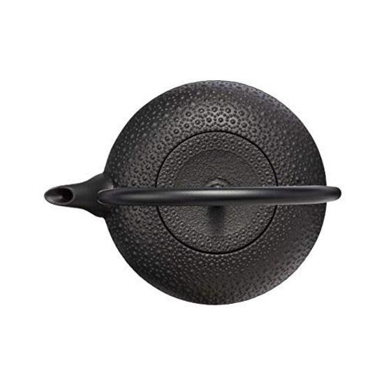 Sugiyama Nambu Ironware Teapot Shinonome Kikkō 1.0L IH Compatible H-200
