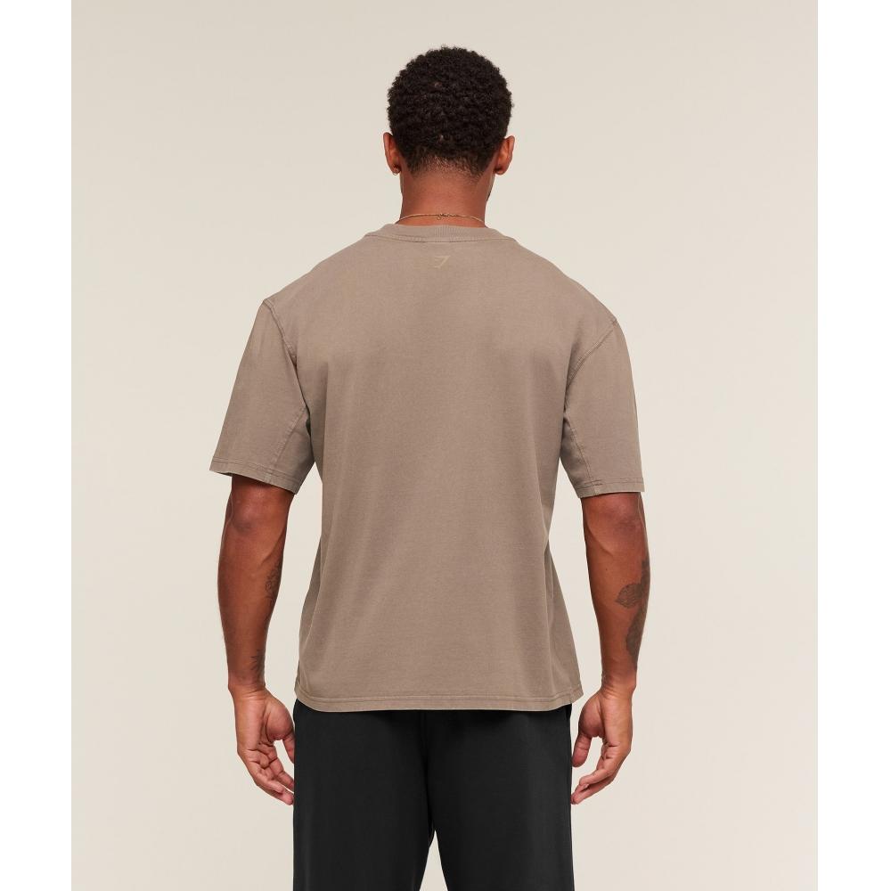 Gymshark CollegiaTe Washed T shirT sofT Brown A3b5o Nbzv