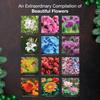MICASA PRESS Flowers 2026 Wall Calendar 12 Month | 12" x 24" Open | Thick & Sturdy Paper | Holiday Gift | Garden Nature Calendar 2026