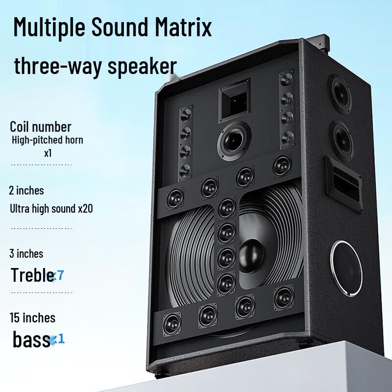 Newmine N539 15-inch Portable Bluetooth Trolley Speaker with Dual Mics CN plug (adapter included) (CN version)