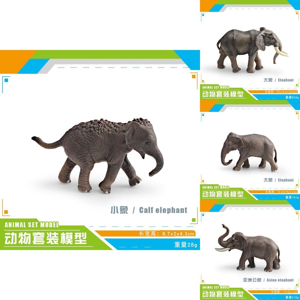 Animal Wildlife Model Toy For Kids Educational Decor And Collectors