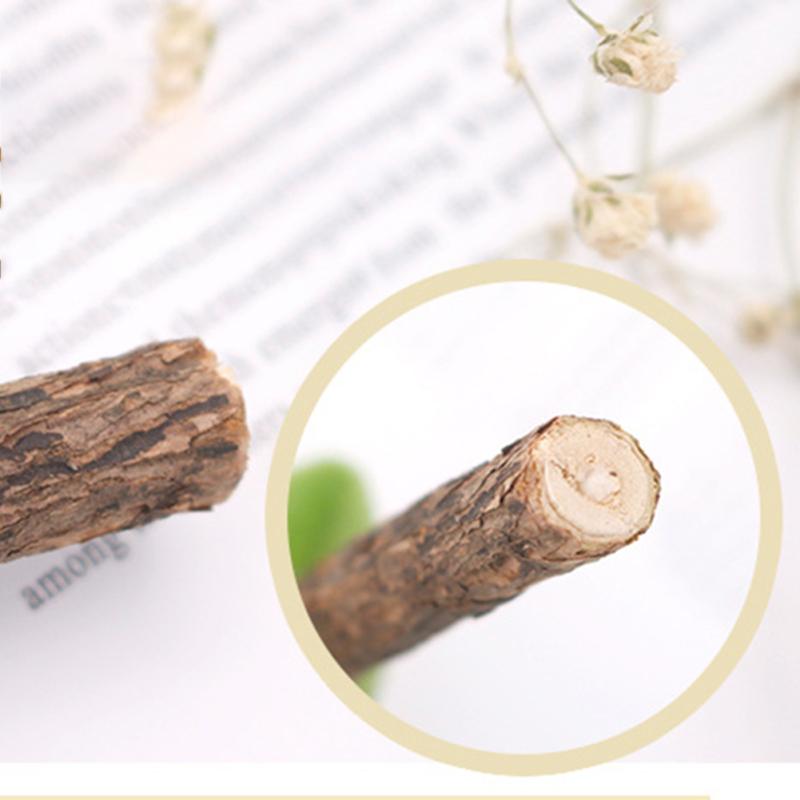 Pp Cotton + Mutianli Cat  Teeth  Cleaning  Snacks  Toys Colorful Cute Cartoon Shape Catnip Molar