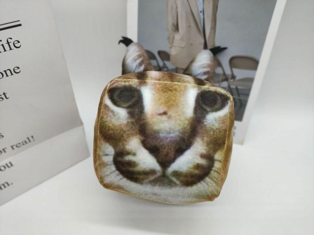 3D kwadratowy kot pluszowy podnieś Floppa kot pluszaki Kawaii pluszowy duży kot lalka dla dzieci miękkie Peluche zabawki prezenty