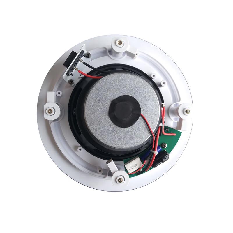 ITC Professional Ceiling Speaker (CN Version)