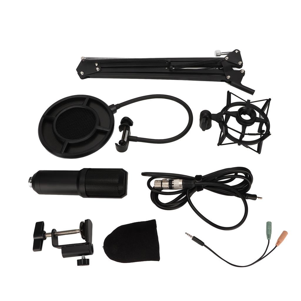 Microphone Professional Recording Game Streaming Media Cardioid Pointing Computer Microphone