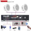 Lingsheng Ceiling Speaker CN plug (adapter included)