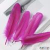 50 Pack Rose Red Feathers for DIY Jewelry Making, Home Decor and Party Decoration