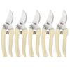 Pruning and Picking Scissors for Fruit Trees, Flowers, and Horticulture