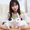 Four Colors Simulation Animal Doll Long Ears Realistic Rabbit Plush  Sleeping Companion