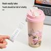 OLOEY 316 Summer Garden Insulated Coffee Cup 500ML
