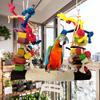 Papageien Kauspielzeug Bunte Bausteine Baumwollseil Schaukelspielzeug Vogel Kauschaukel