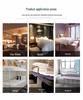 Hilton Hotel Mattress Topper: Rental, Dorm, Thickened Pad