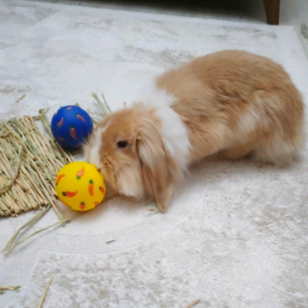 PVC Rabbit Treat Ball Bite Resistant Cat Slow Feeder Practical Cat Feeding Toys  Chinchilla