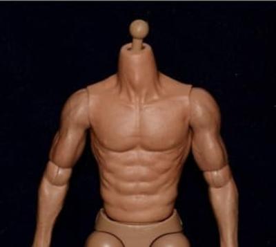 Scale Action Figure ZCTOYS S005 Asian Male Body for Martial Jeet Kune and Clothes Not [TOYBARJAPAN] 1/6 Artists, Do, Etc. (Head Included)