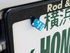 License Plate Bolt Dice (Glitter Blue) NB-AA113GBL-MON