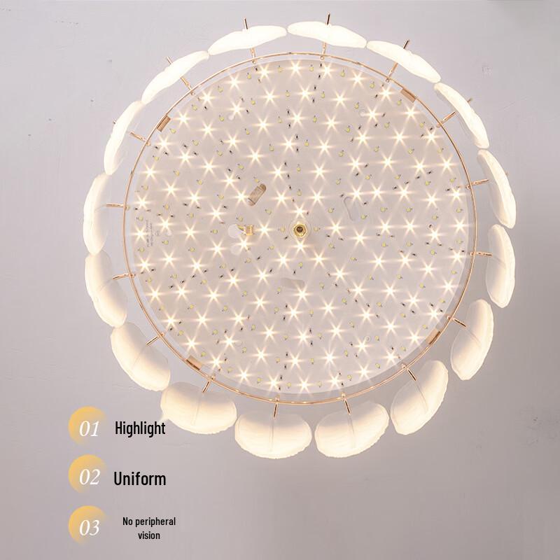 Oeny Light Luxury Ceiling Lamp