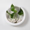 Plastic Hydroponic Vase Round Plant Container Creative Flower Arrangement  Office Display