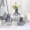 European Style Colored Glass Vase Water Nourishing Green Plants Flower Arrangements Desktop Ornaments Home Decoration