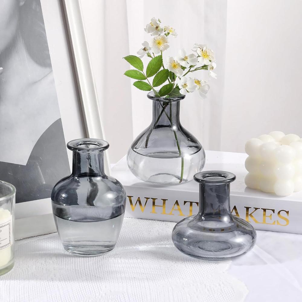 European Style Colored Glass Vase Water Nourishing Green Plants Flower Arrangements Desktop Ornaments Home Decoration