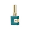 AS New 9D Cat Eye Gel Polish High Density Magnetic Powder Flash Jelly Salon Use 15ml