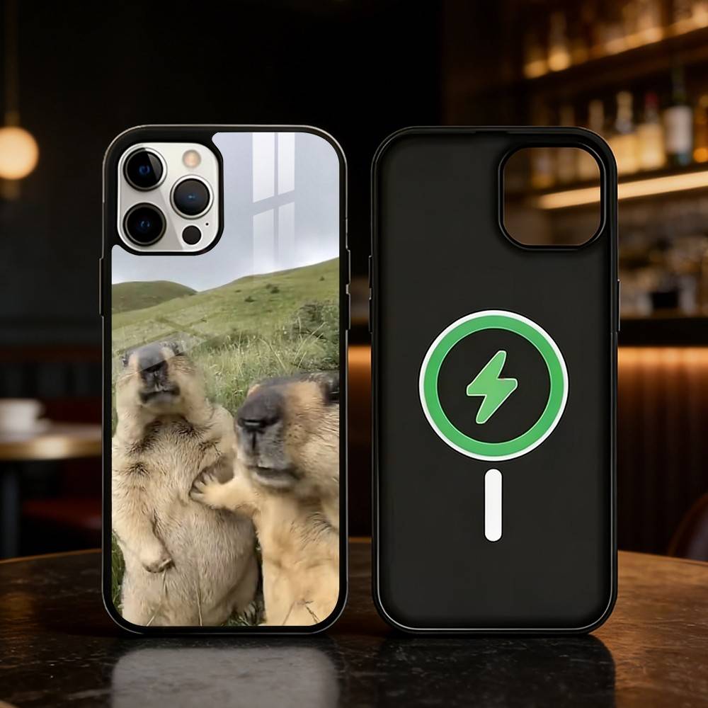 Cute Capybara Groundhog Phone Case For iPhone 17 16 15 14 13 12 Pro Max Plus for Mirror Wireless Magnetic Cover