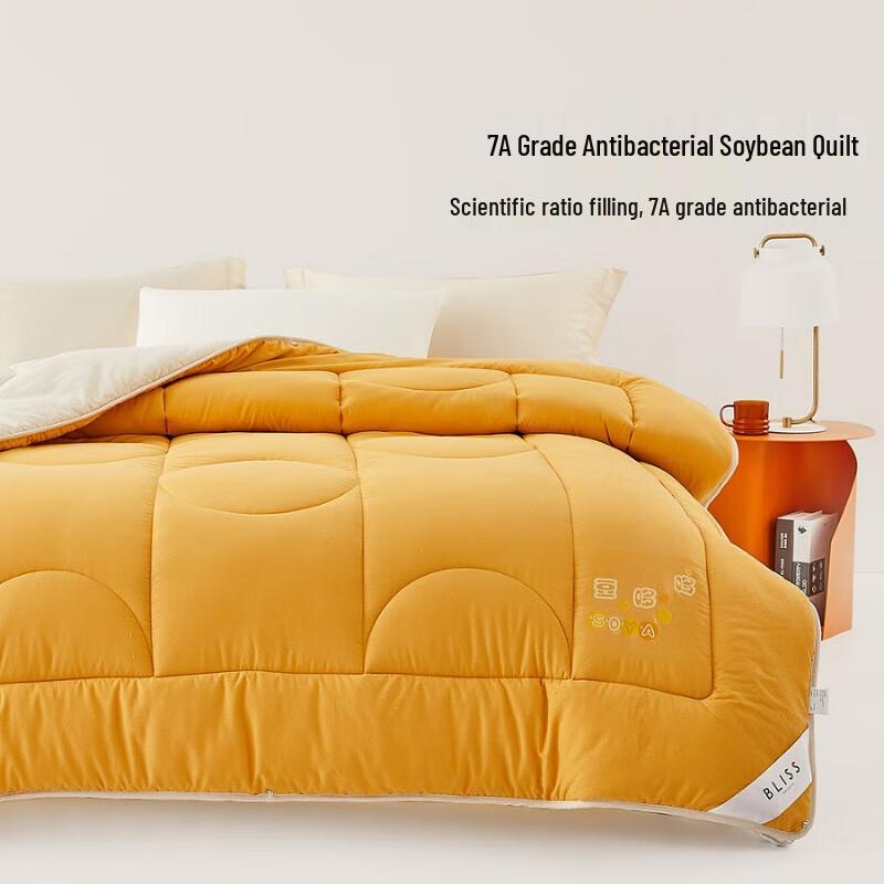 

Mercerized Home Textiles Antibacterial Spring/Autumn Quilt