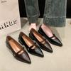 Niche Commuter Thick Heel Brown Pointed Mary Jane Single Shoes Women's Shoes 2025 Spring Summer Evening French Commuter Leather Shoes