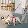 Wave Pattern Anti-Tangle Detachable Double Dog Leash
