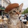 Adorable Cute Cat Beret Hat Breathable Cat Sunscreen Hat Pet Painter Hat  Photos Sessions
