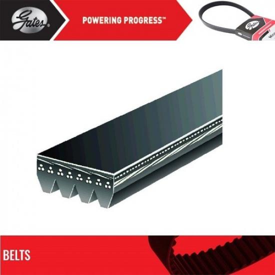 Gates Power Steering Belt For 1993-1995 HONDA CIVIC DEL SOL L4-1.5L