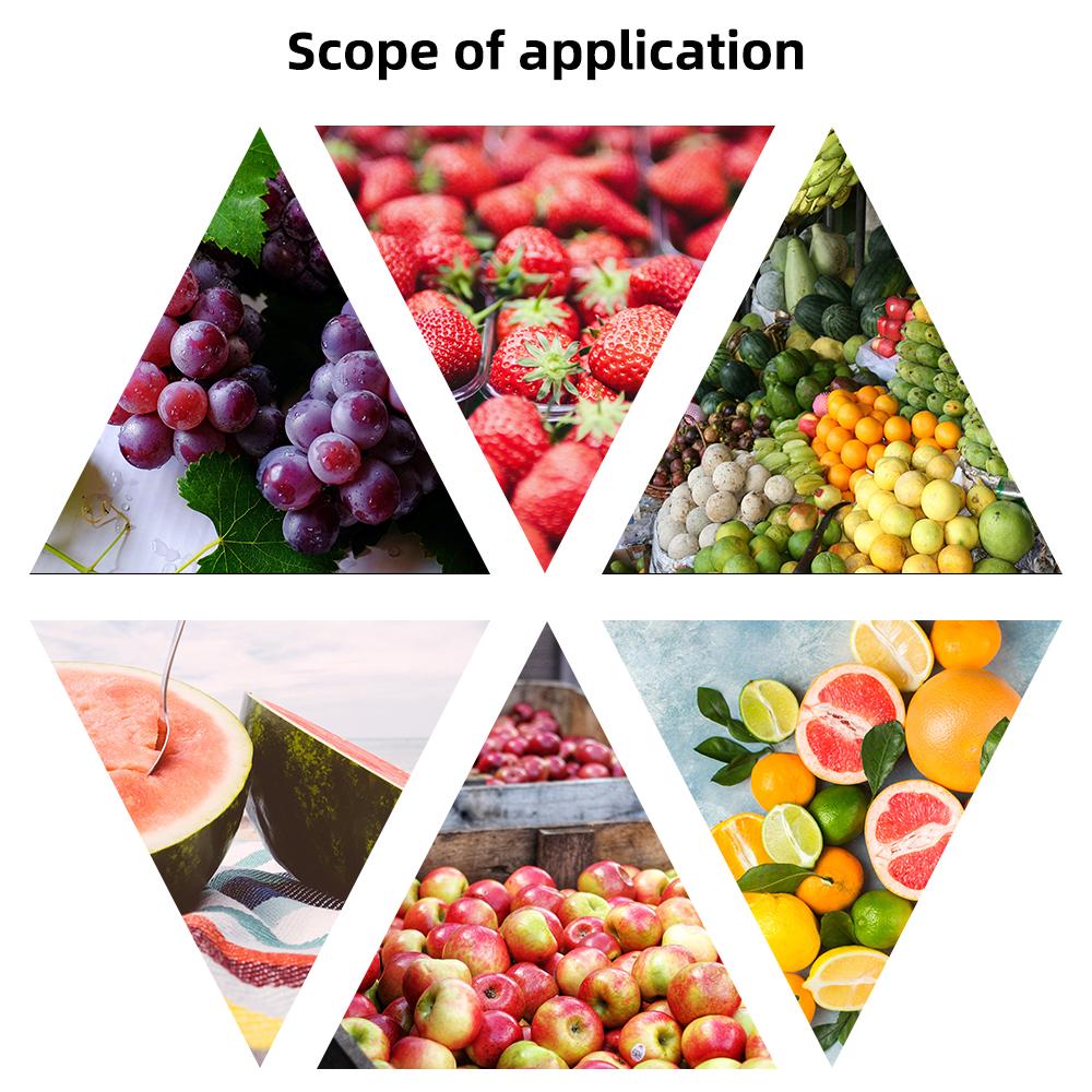 GY-2 Pointer Fruit Hardness Tester Fruit Penetrometer Oranges Apples Pears Grapes GY-3 Fruit Sclerometer Testing