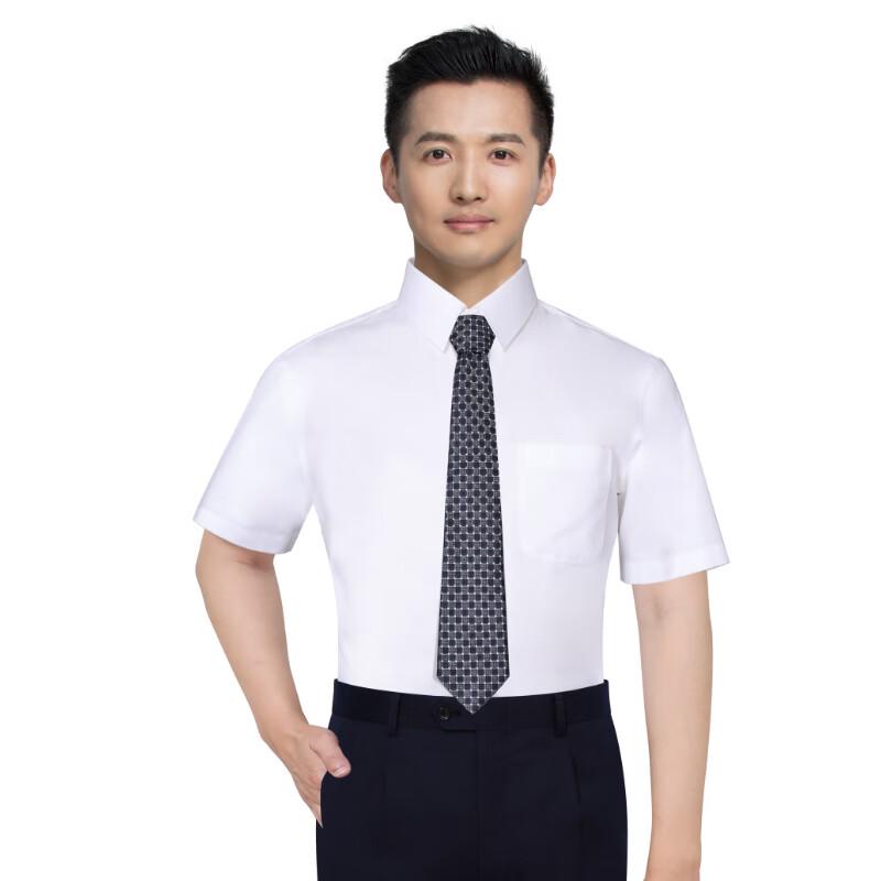 

HLA Men s Non-Iron Short Sleeve Shirt One Size