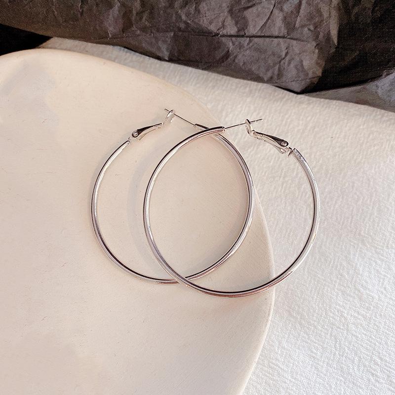Exaggerated Hoop Earrings - European & American Cold Style, 925 Silver Needle, All-Match Metal Ear Jewelry for Women