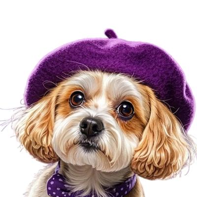 Módní beret pro mazlíčky Zajišťující bezpečné a pohodlné nošení pro psy a kočky Během party Dovolená Fotografické rekvizity