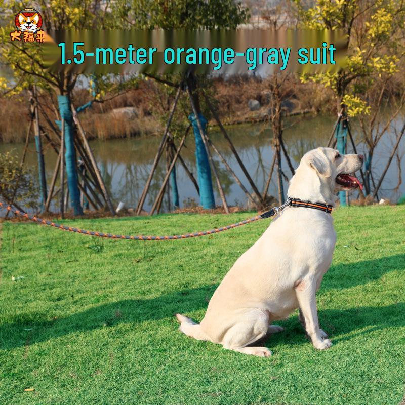 2m Anti-Shock Dog Leash with Collar for Medium & Large Breeds - Golden Retriever & Teddy Training Rope