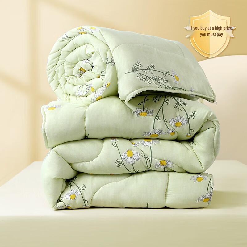 

FUANNA Xin erle All-Season Two-in-One Duvet Quilt