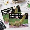 Gag Gifts - Funny 2026 Wall Calendar, 2026 Calendar with Thick Paper, Jan. 2026 - Dec. 2026, 11" x 8.5", Best for White Elephant Gag Gifts