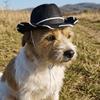 Breathable Pet Dog Sun Hat Handmade Stitched Dog Visor Cat Funny Cat Sunscreen Hat  Travel Use