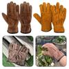 Anti-thorning Safety Gloves Cowhide Anti-cutting Gloves Heat Insulation Gloves  Welding