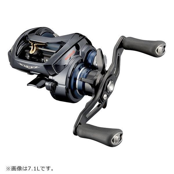 

Daiwa STEEZ A TW HLC 6,3 л.
