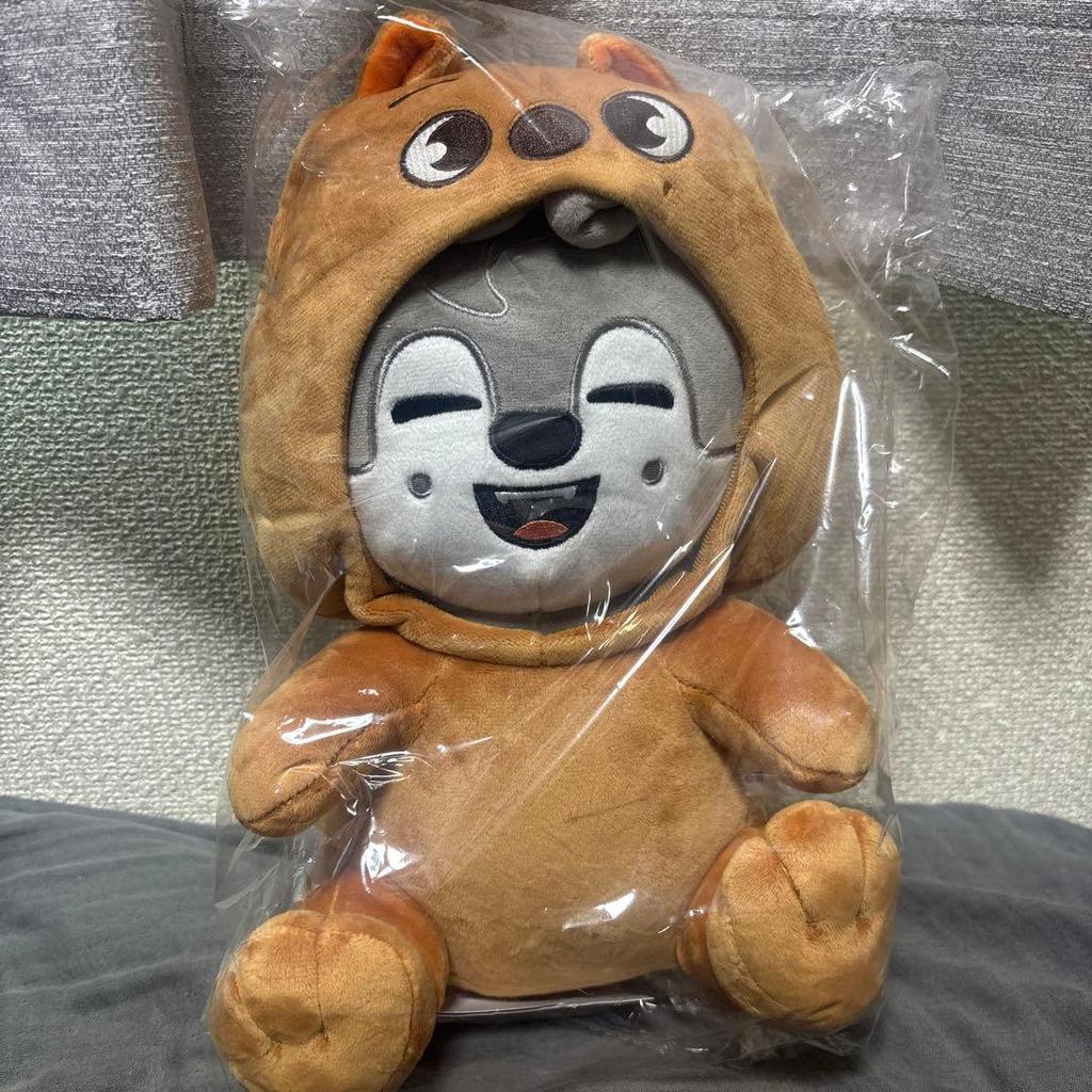 [USED] Official Stray Kids Toy World Wolf Chan Plush Toy