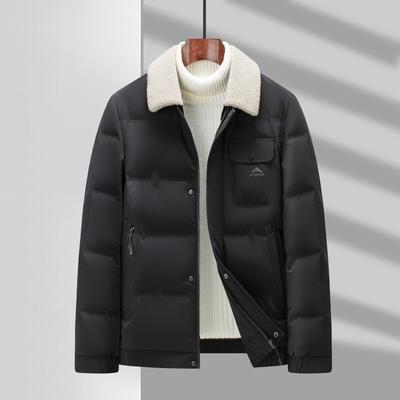 Doudoune pour Homme Automne et Hiver Nouveau Style Col Amovible en Fourrure d'Agneau Décontractée Chaude Doudoune en Duvet de Soie Lait pour Homme