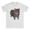 Herren Spinning oiia oiia Katze oiiaa T-Shirts Reine Baumwolle Kleidung Vintage O-Ausschnitt T-Shirt Bedruckte T-Shirts