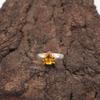 Natural Citrine Sterling Silver Anniversary New Stackable Promise Statement Ring RR-43-7