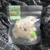 NCT WISH WISH DOLL (Wish Doll) Dang Liver (Unopened)