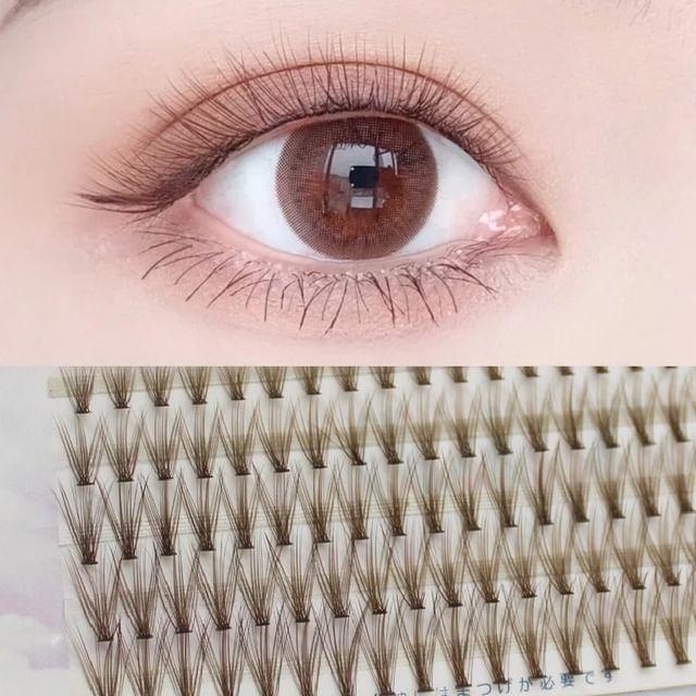 LuxeFlutter - Set of 20: Natural Wispy Colored Cluster False Eyelashes Set of 20 - Caramel - One Size