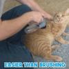 Portable Electric Cat and Dog Hair Vacuum Massage Clean Dual Purpose Portable Pet Vacuum Cleaner
